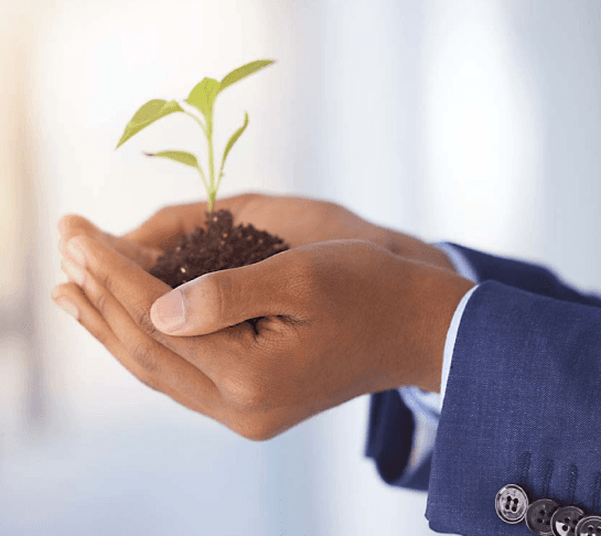 Hands holding a small plant representing growth and future